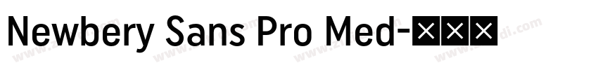 Newbery Sans Pro Med字体转换 Newbery Sans Pro Med字体转换